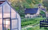 farm, greenhouse, field, rural, country, kitchen, 