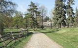 country, farm, horse, rustic, field, barn, 