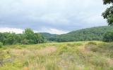 country, farm, horse, rustic, field, barn, 