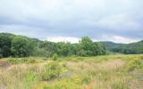 country, farm, horse, rustic, field, barn, 