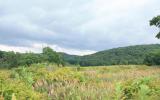 country, farm, horse, rustic, field, barn, 