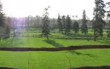 country, farm, horse, rustic, field, barn, 