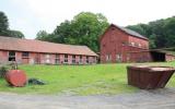 country, farm, horse, rustic, field, barn, 