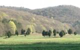 country, farm, horse, rustic, field, barn, 