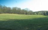 country, farm, horse, rustic, field, barn, 