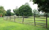 country, farm, horse, rustic, field, barn, 