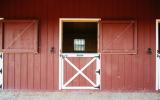 horse, farm, barn, stable, rural, field, lake, 