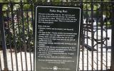 park, 