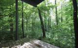 modern, contemporary, light, airy, wooded, 