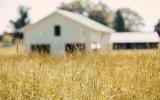 rural, contemporary, modern, light, airy, kitchen, bathroom, barn, 