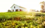 rural, contemporary, modern, light, airy, kitchen, bathroom, barn, 