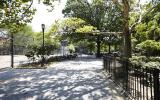park, 