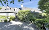 Hamptons, contemporary, bathroom, kitchen, horse, light, 